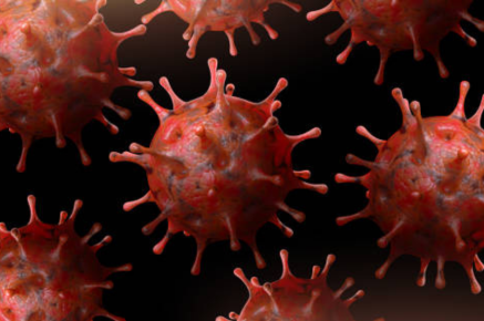 Incorporating “One Health” into the health-security agenda  